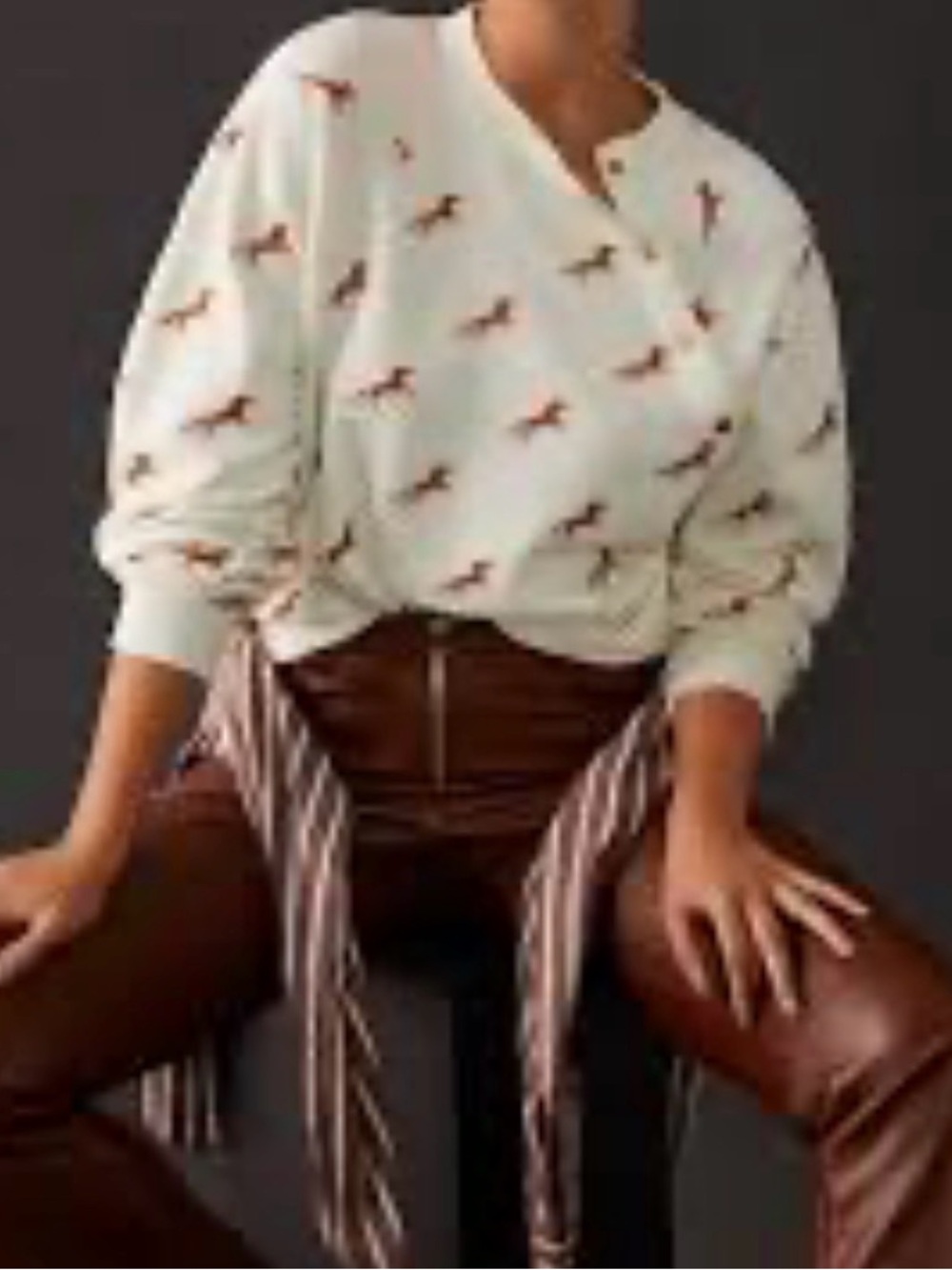 Maeve Button-Front Sweatshirt Western print